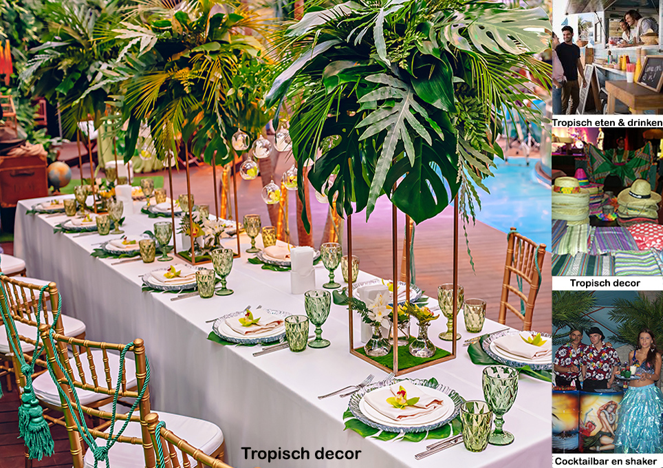 Invulling van uw Tropische themafeest!