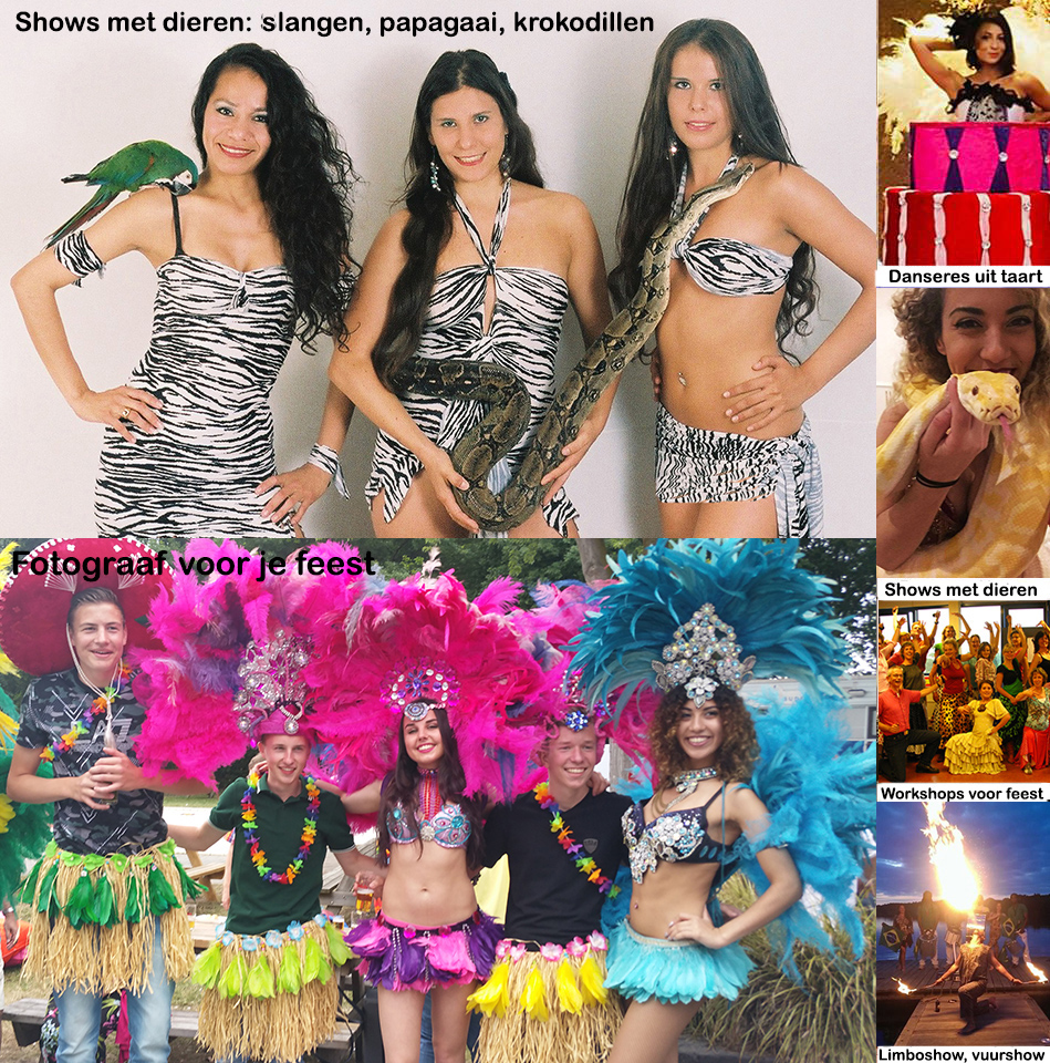 Tropische danseressen en muzikanten